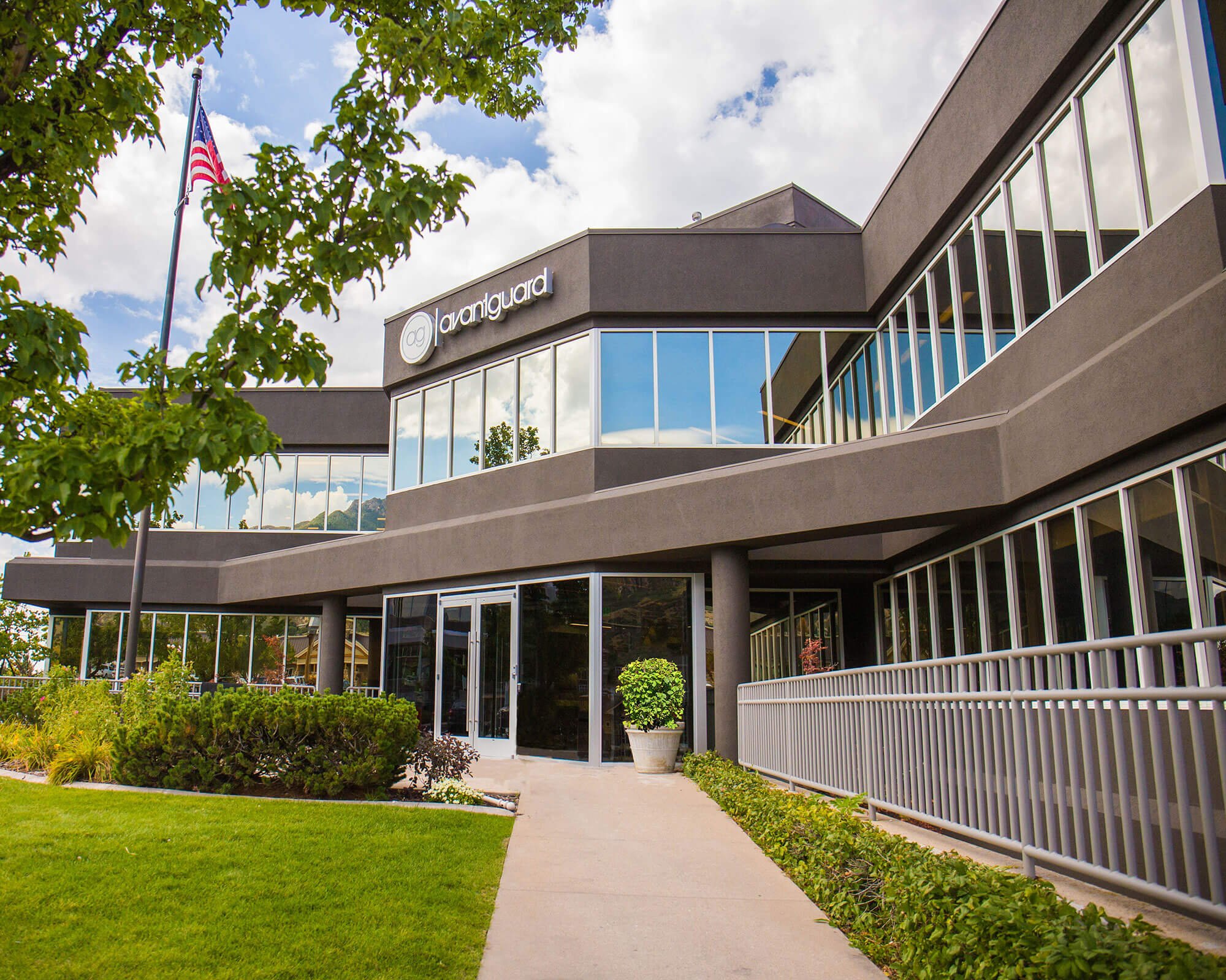 Company Avantguard Monitoring - Premium Geometric Illustration Gallery - HD